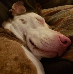 Meet your Posher, Christy